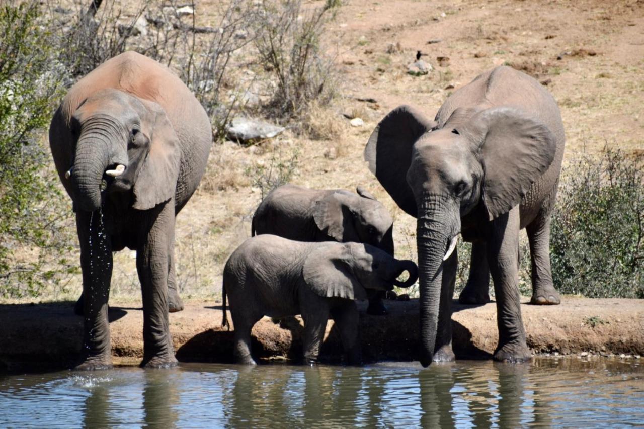 Milima Big 5 Safari Lodge Hoedspruit Exterior photo